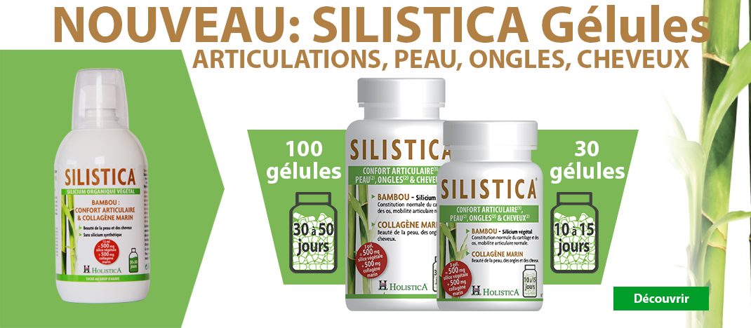 diaporama_silistica